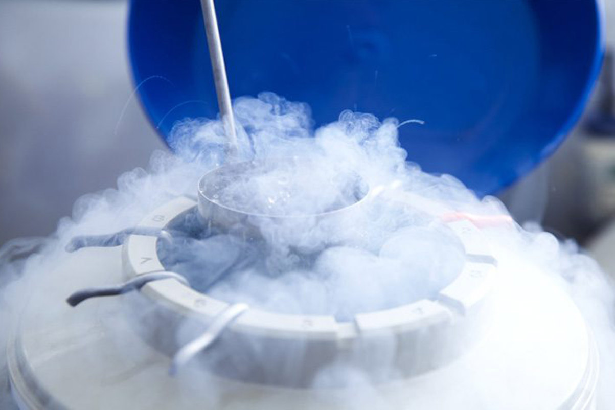 Cryogenic Division